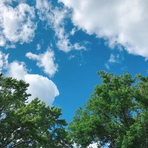 Meet your Posher, Natalya